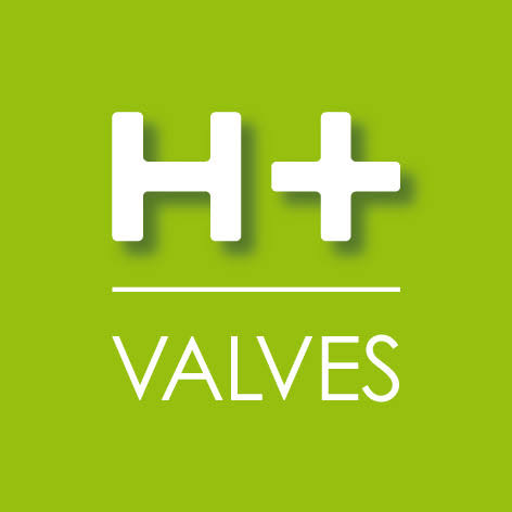 Logo H+VALVES